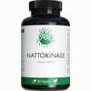 Green Naturals Nattokinase 100 Mg Vegan 365 Stück - ab 25,38 €