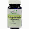 Grünlipp Pulver  50 g - ab 16,20 €