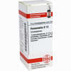 Hamamelis D12 Globuli 10 g - ab 6,23 €