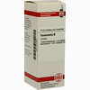 Hamamelis Urtinktur Dilution 20 ml - ab 9,50 €