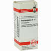 Haplopappus D12 Globuli 10 g - ab 7,55 €