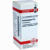 Haplopappus D6 Globuli 10 g - ab 7,55 €