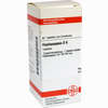 Haplopappus D6 Tabletten 80 Stück - ab 8,69 €
