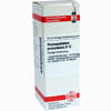 Harpagophytum Proc D12 Dilution 20 ml - ab 9,29 €