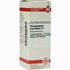 Harpagophytum Proc D2 Dilution 20 ml - ab 7,11 €
