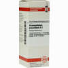 Harpagophytum Proc D2 Dilution 20 ml - ab 8,20 €