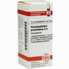 Harpagophytum Proc D6 Globuli 10 g - ab 7,55 €