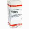 Harpagophytum Proc D6 Tabletten 80 Stück - ab 8,69 €