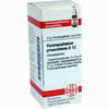 Harpagophytum Procum D12 Globuli 10 g - ab 7,55 €