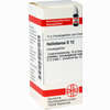 Helleborus D12 Globuli 10 g - ab 6,98 €