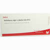 Helleborus Nig E Pl To D12 Ampullen 10 x 1 ml - ab 19,39 €