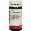 Helleborus Nig E Pl To D12 Globuli 20 g - ab 7,20 €