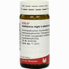 Helleborus Nig E Pl To D6 Globuli 20 g - ab 7,18 €