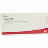 Hepar Gl D8 Ampullen 10 x 1 ml - ab 19,41 €