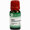 Hepar Sulfur Arca Lm 18 10 ml - ab 10,28 €