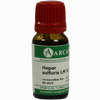 Hepar Sulfur Arca Lm 6 10 ml - ab 9,64 €