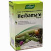 Herbamare A. Vogel Frischkräuter- Meersalz 500 g - ab 4,35 €