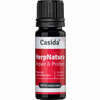 Herpnatura - Repair & Protect Öl 10 ml - ab 10,97 €