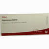 Hippocampus Gl D30 Ampullen 10 x 1 ml - ab 19,41 €
