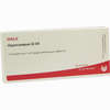 Hippocampus Gl D5 Ampullen 10 x 1 ml - ab 19,41 €