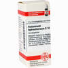 Histaminum Hydrochlor D10 Globuli 10 g - ab 7,55 €