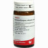 Hornerz/corpus Vitr Cp Globuli 20 g - ab 7,46 €