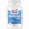 Hyaluronsäure 100mg Caps Kapseln 120 Stück - ab 13,51 €