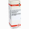 Hyoscyamus D12 Dilution 20 ml - ab 7,49 €