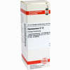 Hyoscyamus D12 Dilution 20 ml - ab 7,84 €