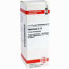 Hypericum D12 Dilution 20 ml - ab 7,49 €