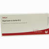 Hypericum Ex Herba D12 Ampullen 10 x 1 ml - ab 0,00 €