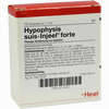 Hypophysis Suis- Injeel Forte Ampullen  10 Stück - ab 22,07 €