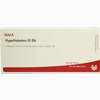 Hypothalamus Gl D6 Ampullen 10 x 1 ml - ab 19,41 €