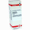 Imperatoria Ostr Urtinktur Dilution 20 ml - ab 14,76 €