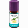 Ingwer Bioaroma Baldini Aetherisches Öl 5 ml - ab 6,74 €