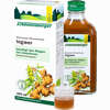 Ingwer Pflanzentrunk Schoenenberger Saft  200 ml - ab 5,48 €