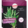 Intact Florimel Salbei- Bonbons zuckerfrei  40 g - ab 0,97 €