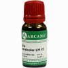 Iris Arca Lm 6 10 ml - ab 12,47 €