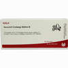 Iscucin Crataegi Staerke B Ampullen 10 x 1 ml - ab 53,84 €