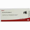 Iscucin Pini Stärke C Ampullen  10 x 1 ml - ab 53,84 €