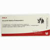 Iscucin Salicis Potenzreihe I Ampullen  10 x 1 ml - ab 53,84 €