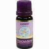 Jasmin 2% Öl  10 ml - ab 5,92 €