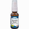 Juck- Ex Forte Vet 20 ml - ab 8,38 €