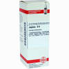 Juglans D6 Dilution 20 ml - ab 8,69 €