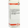 Juniperus Comm D6 Dilution 20 ml - ab 0,00 €
