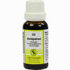 Juniperus Kompl Nestm 33 Dilution 20 ml - ab 6,16 €