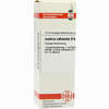 Justicia Adhatoda D6 Dilution 20 ml - ab 8,57 €