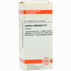 Justicia Adhatoda D6 Tabletten 80 Stück - ab 9,80 €