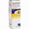 Kamillosan Mund- und Rachenspray  30 ml