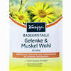 Kneipp Badekristalle Gelenke & Muskel Wohl Salz 60 g - ab 0,00 €